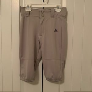 Adidas Boys Knicker Baseball Pant - Grey